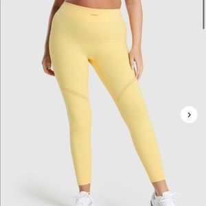 Gym shark Whitney Simmons mesh leggings